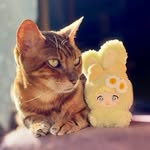 Photo by daisy_cat_collects