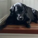 Photo by mikkelmaagaard22