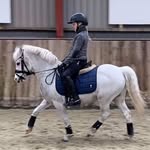 Photo by ponyrytter_carolina