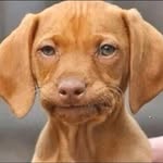 Photo by tezxgamingz