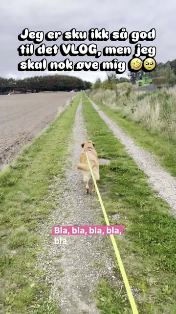 Coverbillede for blogindlæg