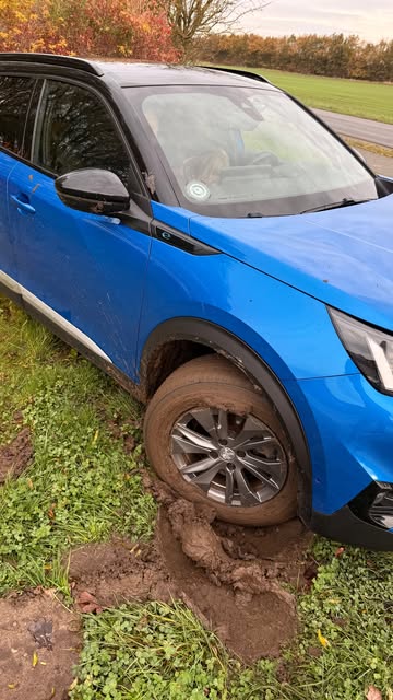 girafpingvin Image-Story