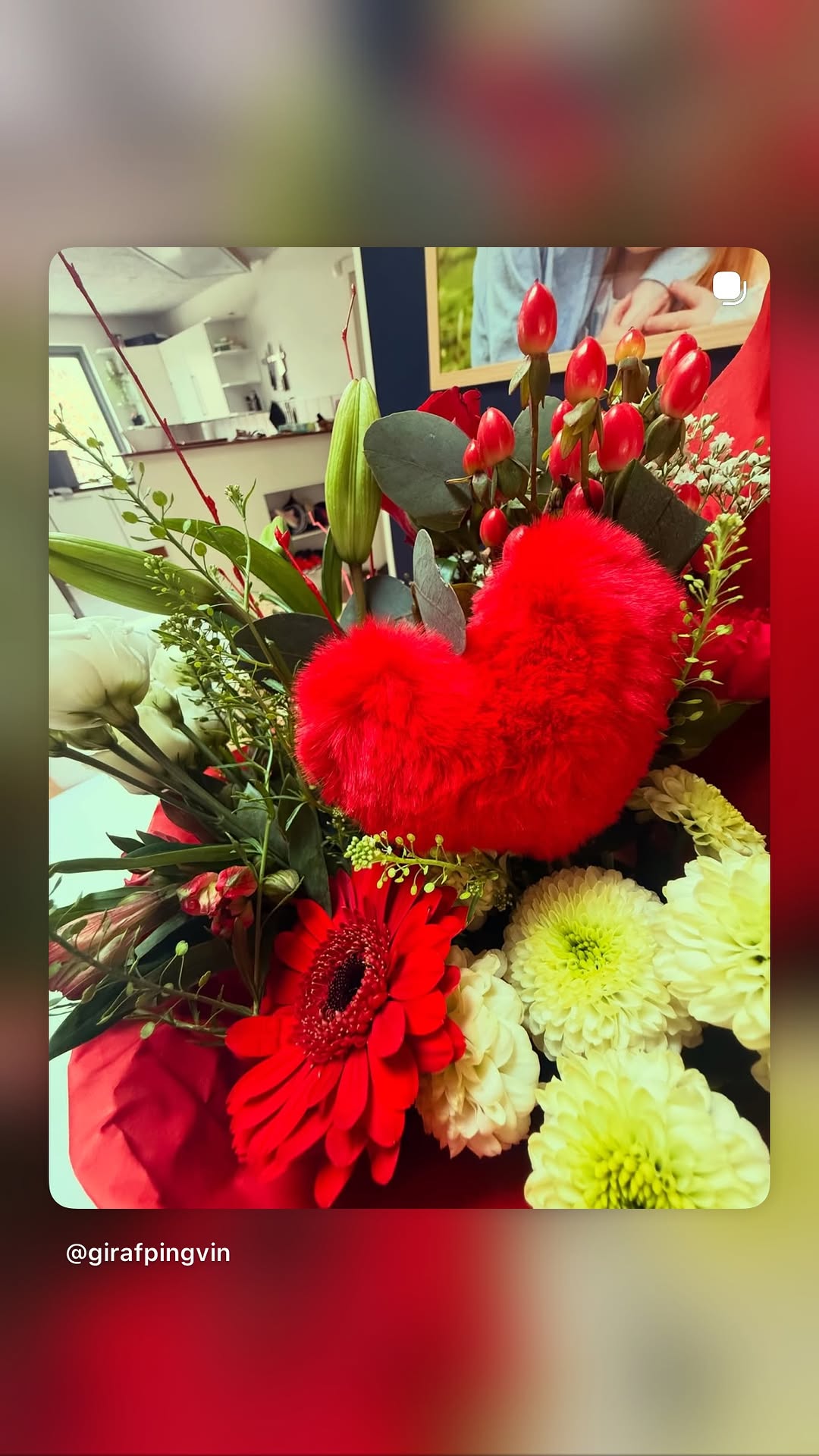 girafpingvin Video-Story