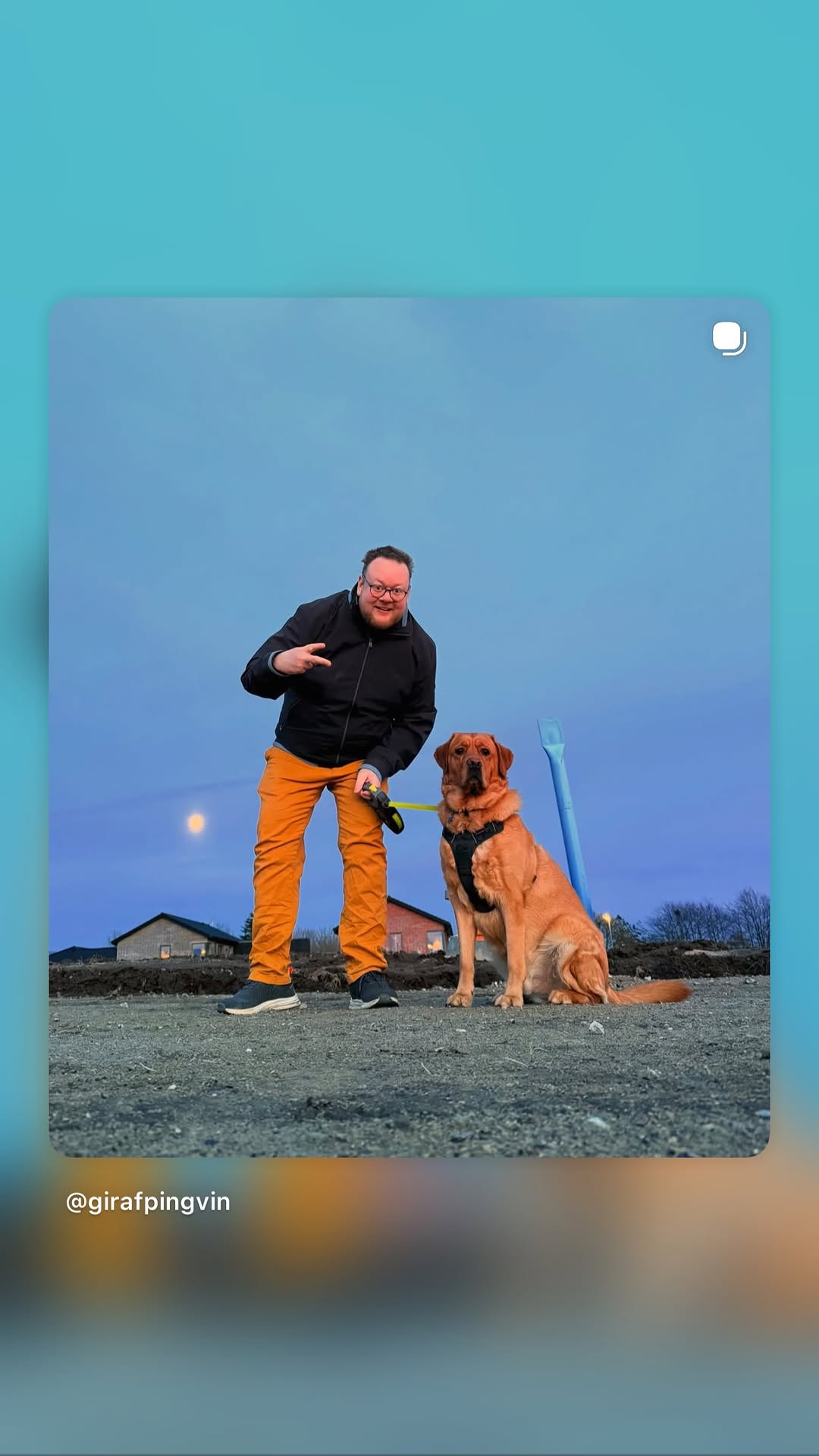 girafpingvin Video-Story