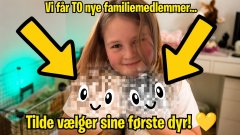 Cover for YouTube video