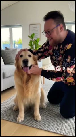 Jeg vidste ikke min lille hund Bahloo var SÅ farlig 🐺 #girafpingvin #ai #dansk #halloween