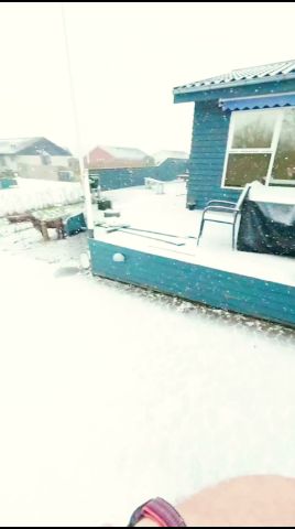 Åbner officielt næste fredag #girafpingvin